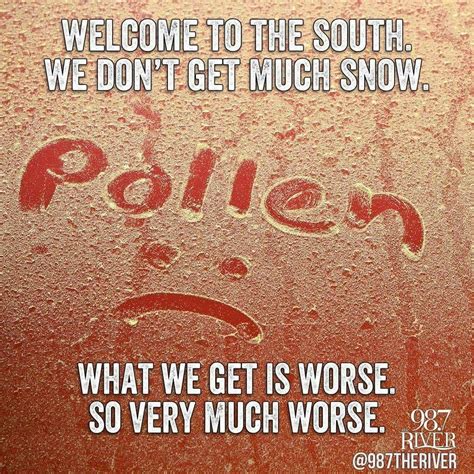 Pollen South Quotes Southern Jokes Snow Quotes