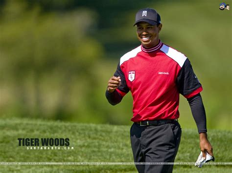 Tiger Woods Tiger Woods Wallpaper 8208389 Fanpop