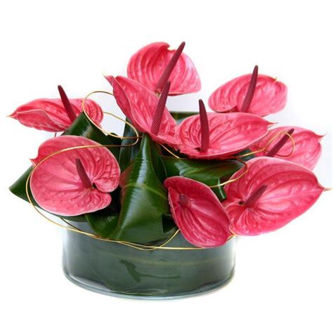 Check spelling or type a new query. Anthurium-Elegance- | Tropical floral arrangements ...