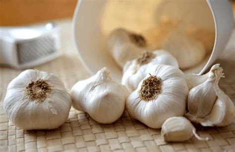 Fungal Infections 7 Powerful Natural Remedies Garlic Health Benefits