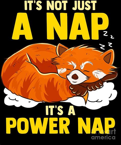 Its Not Just A Nap Its A Power Nap Red Panda Digital Art By The Perfect