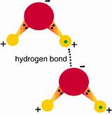 Hydrogen Hydrogen Bond