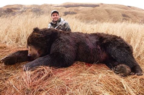 Worlds Biggest Grizzly Bear