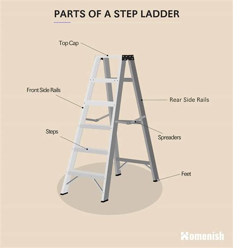 Diagram Showing The Parts Of A Step Ladder And Parts Of An Extension