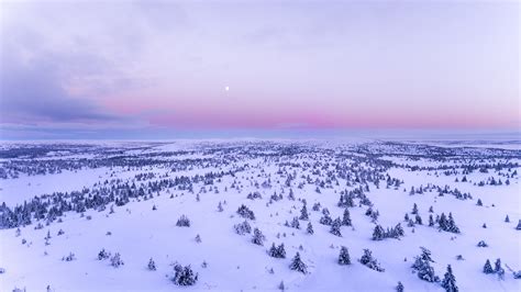 Snow Covered Field 4k Hd Nature 4k Wallpapers Images Backgrounds