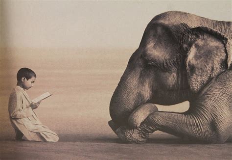 Poster Ashes And Snow Gregory Colbert