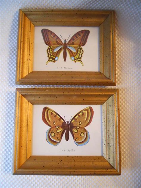 Pair Of Vintage Framed Butterfly Prints Etsy Butterfly Frame