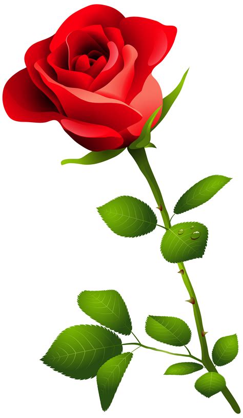 Rose Stem Clipart 20 Free Cliparts Download Images On Clipground 2024