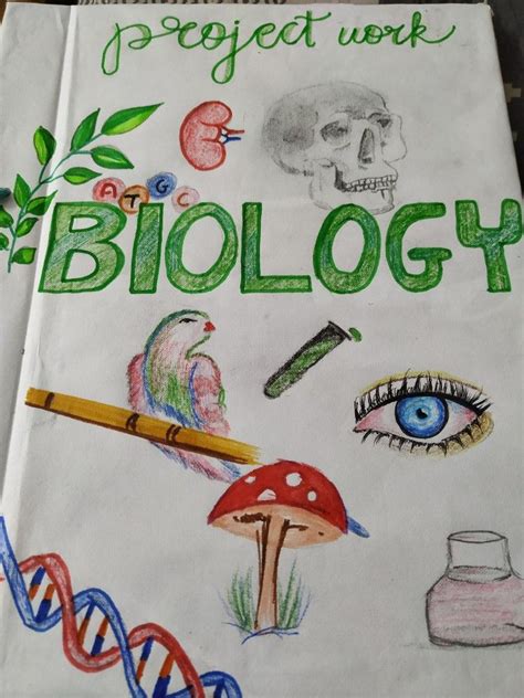Best Biology Front Page Design With Small Space Home And Creative