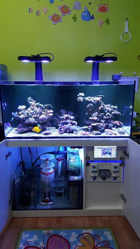 It was a fun project and i am pleased with the my annual deep clean of my freshwater aquarium sump i use to filter my discus aquarium. How to aquascape | Coral aquarium, Saltwater fish tanks, Saltwater aquarium