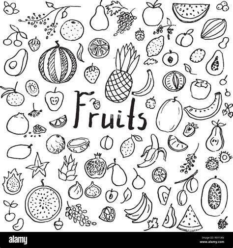 Set Of Hand Drawn Doodle Fruits Stock Vector Image And Art Alamy