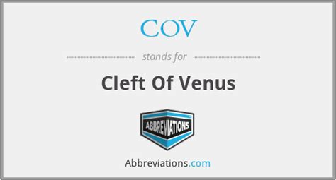 What Is The Abbreviation For Cleft Of Venus
