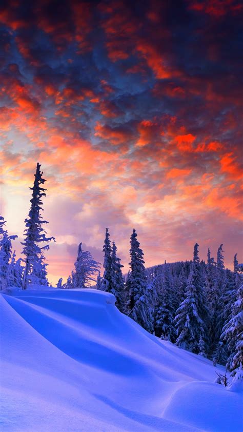 Wallpaper Forest Snow Winter Sunrise Clouds 8k Nature 17357