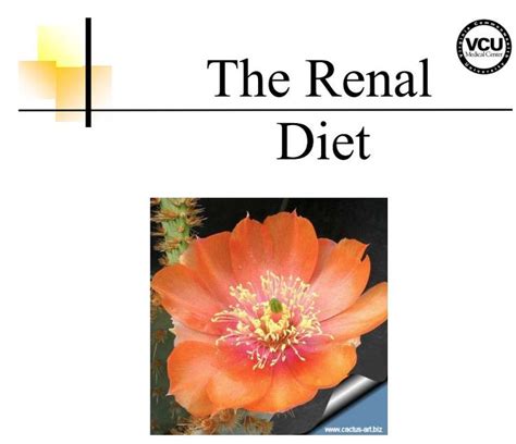 Diet Menu: Renal Failure Diet Menu