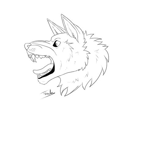 Angry Wolf Drawing At Getdrawings Free Download