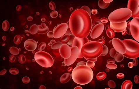 “super Human Red Blood Cells” Hide Drugs From Immune System Attack