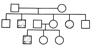 Study The Pedigree Chart Given Below What Does It Show