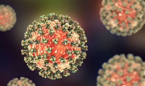 Measles Outbreak Cases Hit Record High In Europe Watch Out For Rash