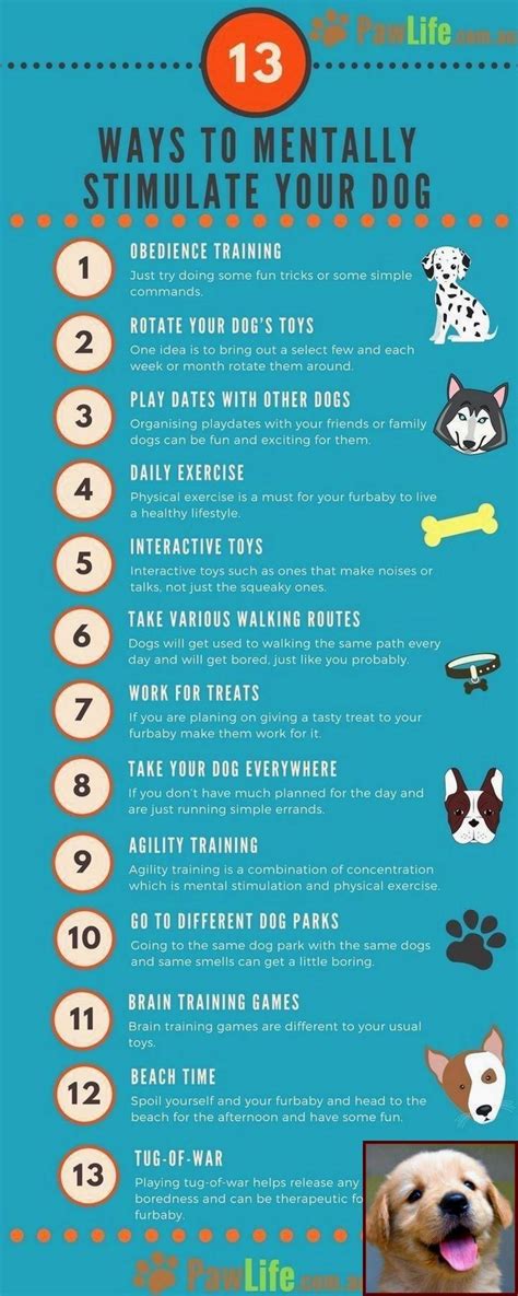 The Ultimate Guide To Dog Training Info Sheet For Dogs And Their Owners