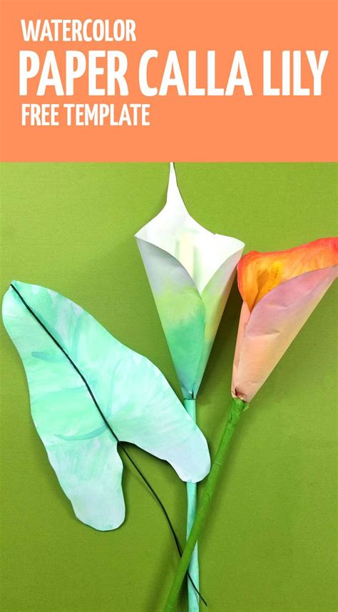 How To Make A Paper Calla Lily Watercolor Paper Flowers Paper