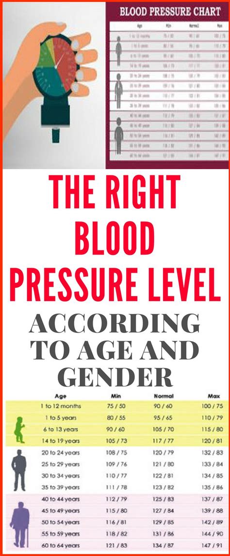 The Right Blood Pressure Level According To Age And Gender Blood