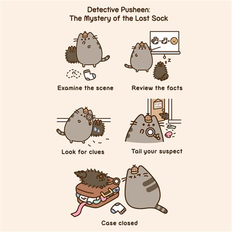 pin on pusheen