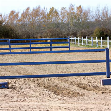 The Importance Of Horse Training Ring Size