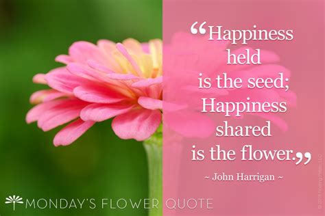 Quotes About Flowers Happiness Aden