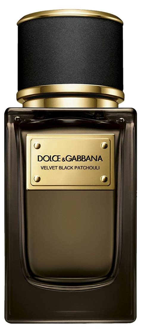Velvet Black Patchouli By Dolce Gabbana Reviews Perfume Facts