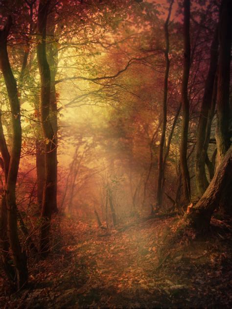 Autumn Forest Premade Background By La Voisin On Deviantart