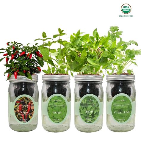 Mason Jar Hydroponic Herb Garden Kit Coco And Seed Cover With Soil