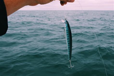11 Best Surf Fishing Lures You Need To Try Fishing Duo