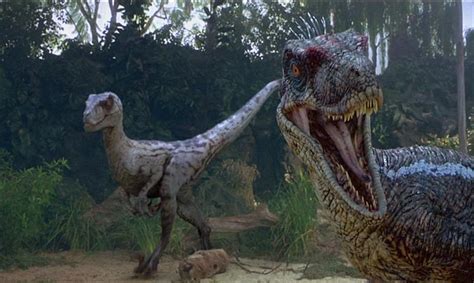 Unlike Jurassic Park Movie Real Velociraptors Did Not Hunt In Packs