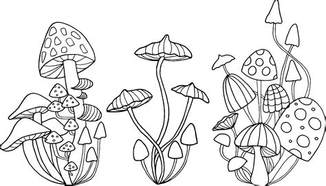 Mushrooms Color And Outline Mushroom Drawing Art Drawings Line