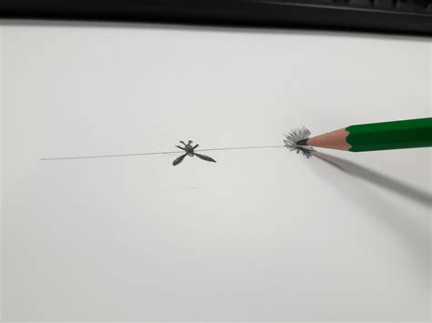 Gambar : pensil, daun, garis, kantor, sketsa, gambar, bentuk 3264x2448