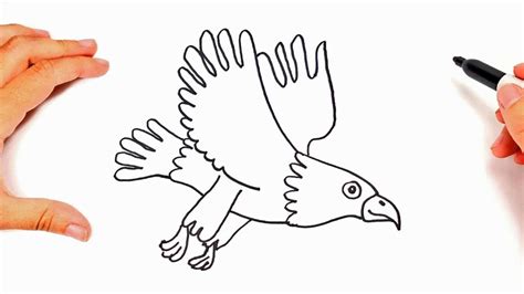Cómo Dibujar Un Aguila Paso A Paso Dibujos Fáciles Youtube