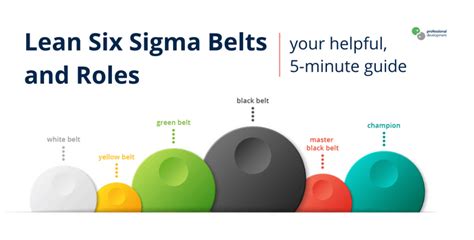 Lean Six Sigma Belts And Roles Your Helpful 5 Minute Guide