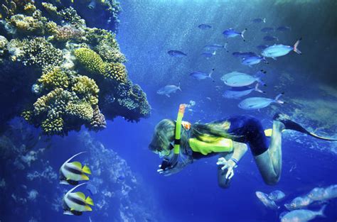 The 8 Best Maui And Molokini Snorkeling Tours 2022 Reviews World