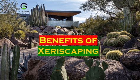 11 Benefits Of Xeriscaping To The Environment