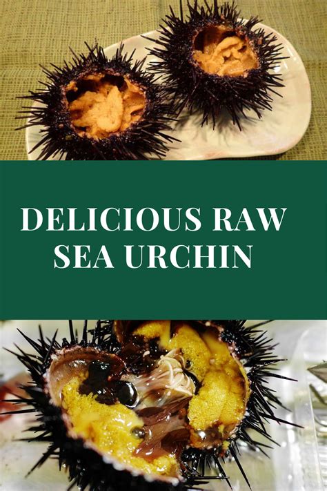 How To Eat Uni Sea Urchin And Its Benefits