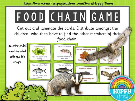 Food Chain Predator Prey Game Activity Teaching Resources