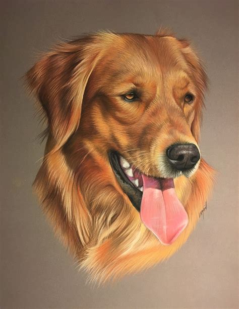 Do you have one at home? golden retriever - Pesquisa Google (With images) | Golden ...