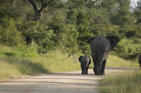 Kruger National Park Manspace Magazine