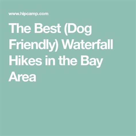 The Best Dog Friendly Waterfall Hikes In The Bay Area