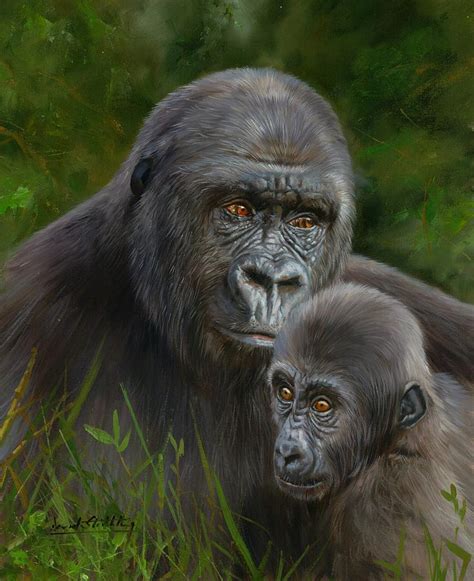 Gorilla And Baby Painting By David Stribbling Fine Art America