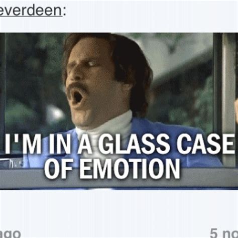 Describes My Every Fandom I Am In Anchorman Glass Case Of Emotion Funny Photos