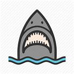 Shark Face Icon Fish Vector Dive Whale