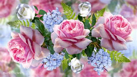 Kwiaty Róże Paprotka Rozmyte Tło 2d Piękne Tapety Na Twój Pulpit