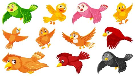 Conjunto De Personajes De Dibujos Animados De Aves 1337872 Vector En