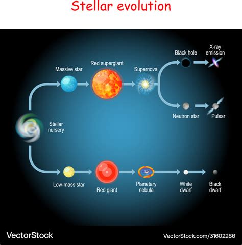 Red Supergiant Star Life Cycle